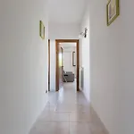 Chiaraluna * Novoli