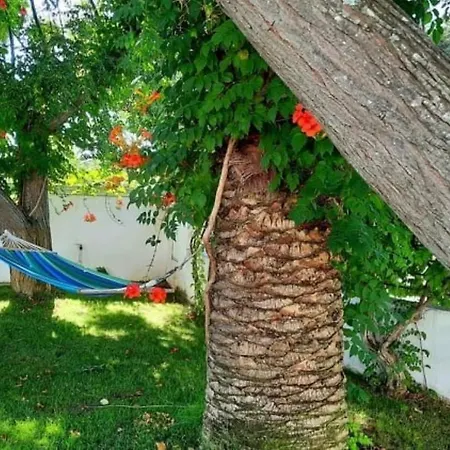 Chiaraluna Novoli
