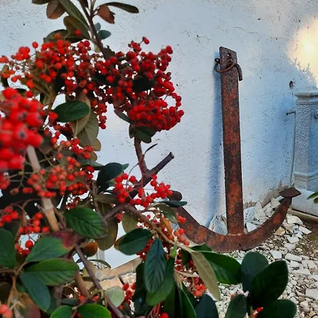 Chiaraluna Villa Novoli