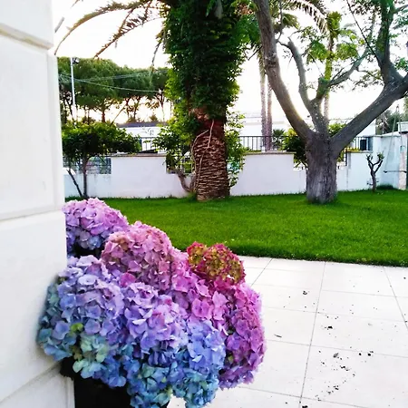 Chiaraluna Вилла Novoli