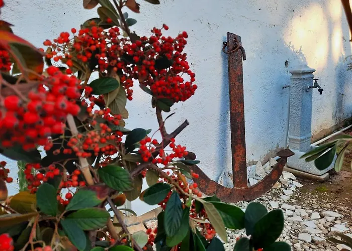 Chiaraluna Villa Novoli