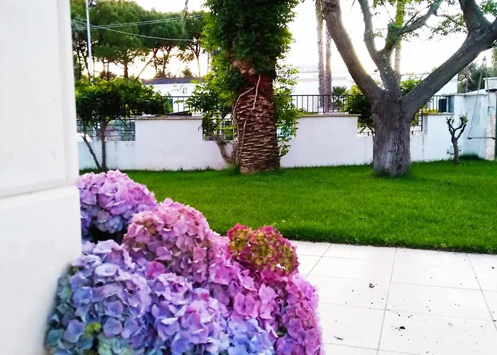 Chiaraluna Villa Novoli